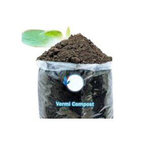 Vermicompost | কেচো সার