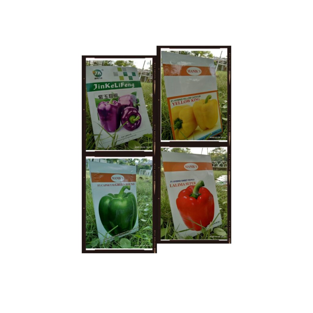 Capsicum Seed | ক্যাপসিকাম